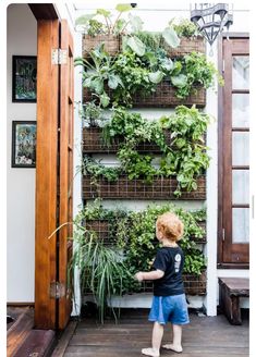 a little boy standing in front of a wall filled with plants