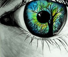 a drawing of an eye with trees painted on it's iris and the reflection of a tree in its center