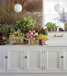 a kitchen with flowers on the counter and potted plants in the window sill