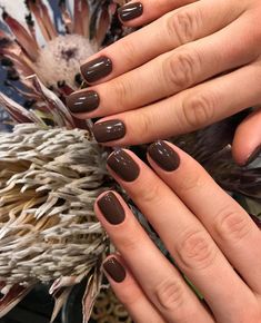 Classy Fall Nails Short, Nail Dipping Powder Colors, Nail Coat, No Chip Nails, Aesthetic Nails, Glow Nails, Nail Photos, Brown Nails