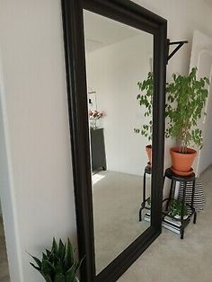 a large mirror sitting on the side of a wall next to a potted plant