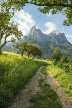 a dirt path in the middle of a grassy field with trees and mountains in the background