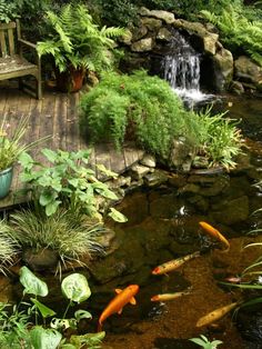 there is a small pond in the middle of this garden with koi fish swimming around