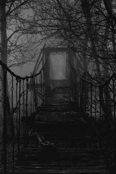 an instagram page with black and white image of a bridge in the woods on a foggy day