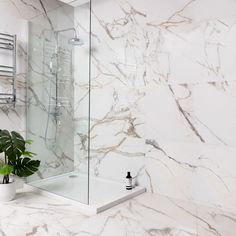 a bathroom with marble walls and flooring, including a walk in shower next to a plant