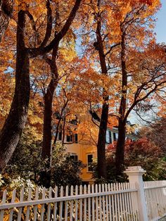 a white picket fence surrounded by trees with orange leaves