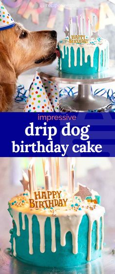 a dog sniffing a birthday cake with candles on it and the words happy birthday written in blue