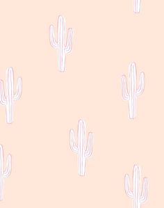 a pink wallpaper with white cacti on the side and light pink background