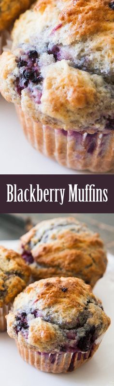 blueberry muffins on a white plate with the words blackberry muffins above them