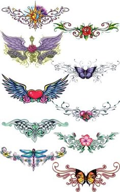 an assortment of tattoos with different designs on the sides and wings, all in various colors