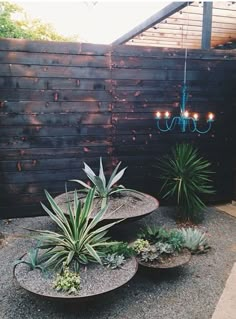 an outdoor area with plants and chandelier