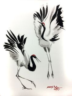 two black and white birds with red beaks are standing next to each other on a white background