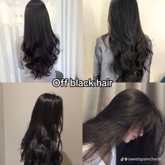 Off Black Hair, Hair Color Names, Process Of Evolution, A Bob Haircut, Hair Color Chocolate, Black Hair Color, Dye Colors, Hair Dye Colors, Traditional Look