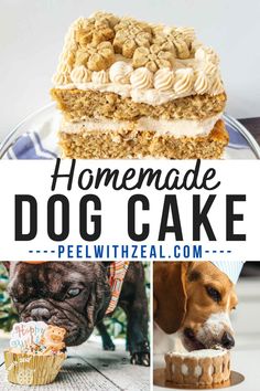 homemade dog cake with white frosting and sprinkles on top is shown in this collage