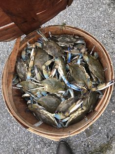 a basket full of blue crabs sitting on the ground next to someone's feet