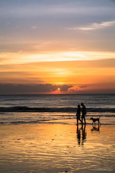 two people and their dog on the beach at sunset