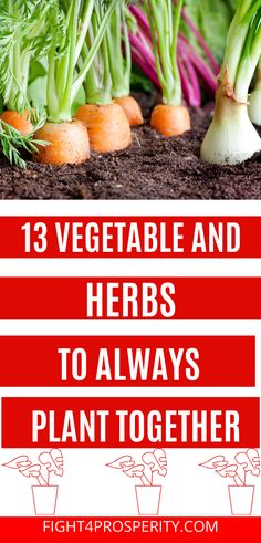 carrots, onions and celery growing in soil with text overlay that reads 13 vegetable and herbs to always plant together