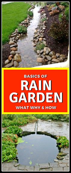 the basics of rain garden what why and how