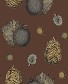 an image of various fruits and leaves on a brown background