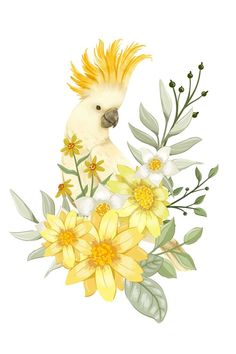 a watercolor painting of a cockatoo with yellow and white flowers