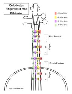 the cello notes fingerboard map is shown with its corresponding names and their respective positions