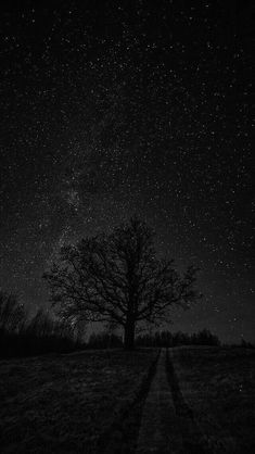 the night sky is filled with stars above a lone tree