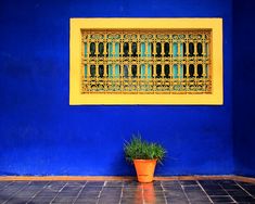 a potted plant sitting in front of a blue wall with a yellow window behind it