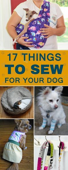 a collage of pictures with dogs and their owners, including the title 17 things to sew for your dog