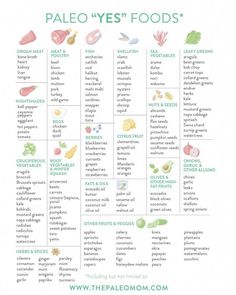 Starting Paleo Diet, Paleo Food List, Practical Paleo, Paleo Diet For Beginners, Paleo Diet Meal Plan, Paleo Mom, Paleo Diet Plan, Paleo Life, Paleo Food