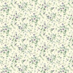 a white wallpaper with blue and purple flowers