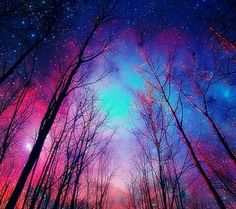 the night sky is filled with stars and trees