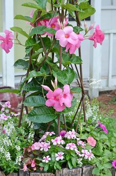 some pink flowers are in a wooden container