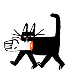 a black cat with orange eyes is walking