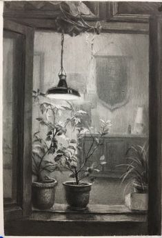 a black and white drawing of a potted plant on a window sill next to a lamp