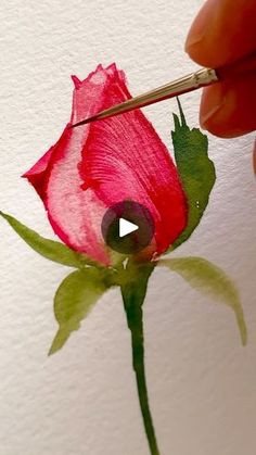 someone is painting a red rose with watercolors