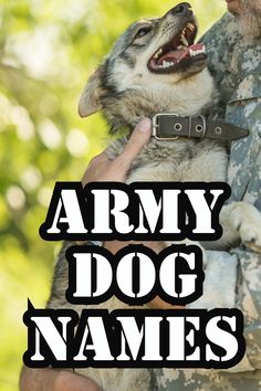 a man holding a dog in his arms with the words army dog names below it