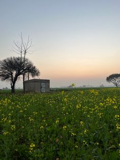 Punjab sunset India Pakistan Punjab Aesthetic, Punjab Pind Aesthetic, India Punjab Aesthetic, Sikhi Aesthetics, Punjabi Culture Aesthetic, Haryana Aesthetic, Desi Background, Old Punjab, Punjabi Aesthetic Wallpaper