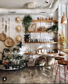 a room filled with lots of different types of plants and baskets hanging on the wall