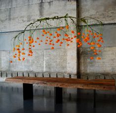 a bench with orange flowers hanging from it's back and on the wall behind it