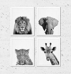 four black and white pictures with animals on them