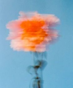 a blurry photo of a flower in the air with blue sky behind it,