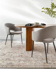 a round table with two chairs and a plant in the middle on an area rug