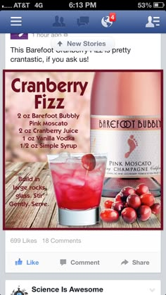 Cranberry Fizz Drink (Alcohol) A sweet pink drink to ad a splash of color to your toast! Cranberry Fizz, Fizz Drinks, Moscato Wine, 21 And Over, Tasty Drinks, Drink Alcohol, Vanilla Vodka, Fizzy Drink