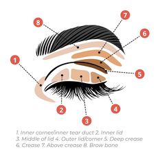 Eyeshadow Diagram How To Apply, Frosty Pink Lipstick, Pro Makeup Tips, Eyeshadow Techniques, Eyeshadow Application, Eye Shadow Application, Eyeliner Application, Cut Crease Eyeshadow, Eye Makeup Application