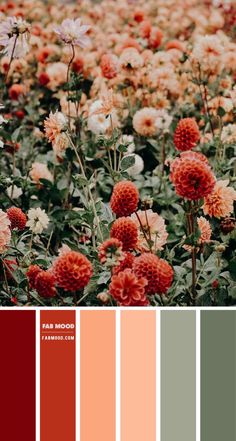 the color palette is red, orange and green with some white flowers in front of it