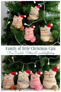 crocheted christmas ornaments hanging from a tree with the words family of little christmas cats