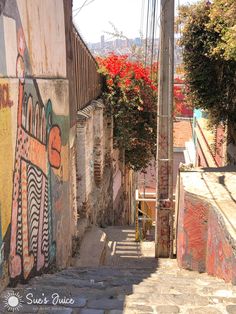 an alleyway with graffiti on the walls and steps leading up to trees in the background