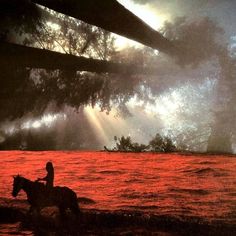 a person riding a horse in the water under a tree with sun rays coming through