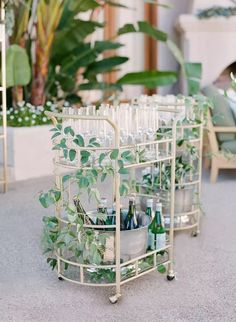 a rack filled with bottles and glasses on top of a floor next to potted plants