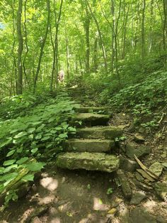 steps lead up to the top of a rocky trail in the middle of a forest